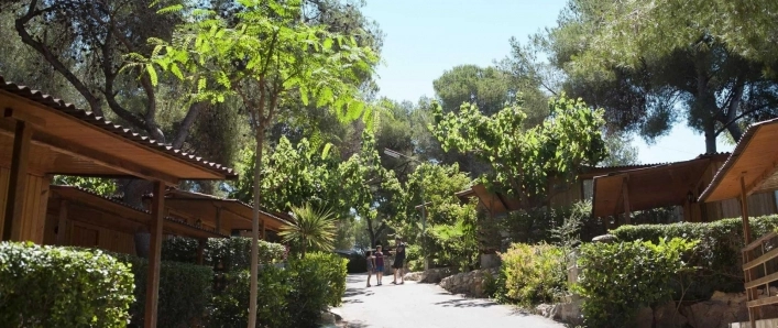 zobacz camping - zdjęcie 28