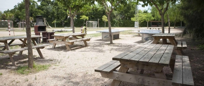 zobacz camping - zdjęcie 15