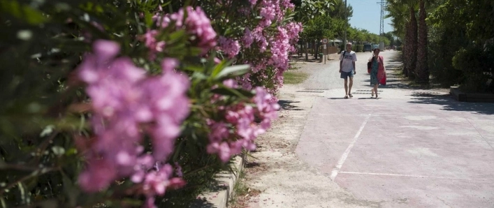 zobacz camping - zdjęcie 12