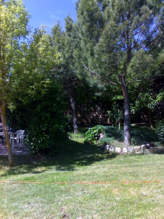 Camping Camino De Santiago - zdjęcie 4