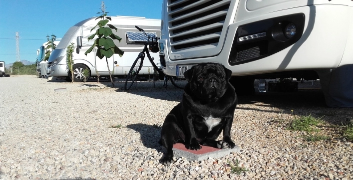 zobacz camping - zdjęcie 7