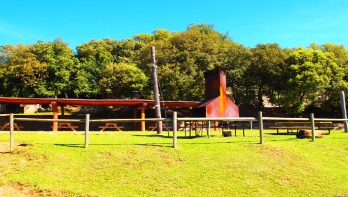 zobacz camping - zdjęcie 7