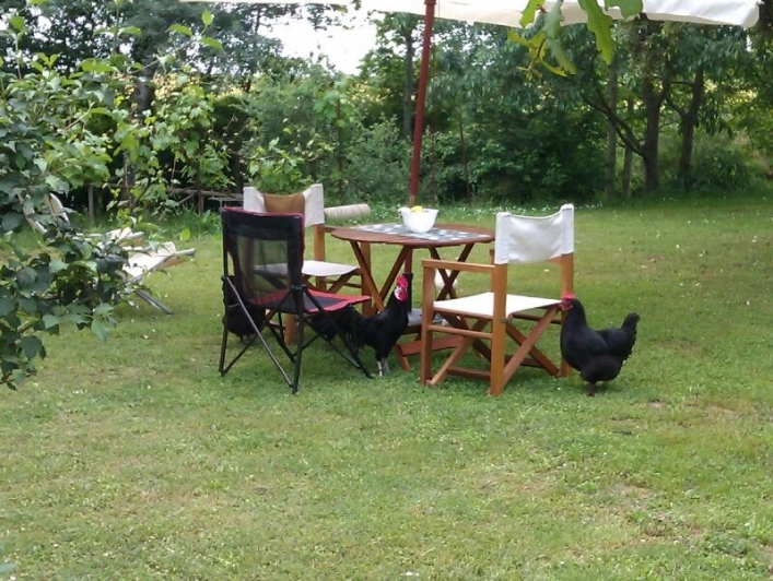 zobacz camping - zdjęcie 13