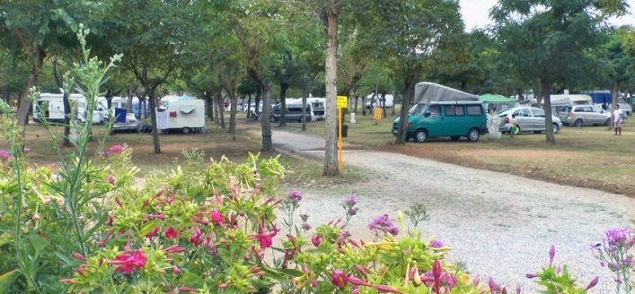 zobacz camping - zdjęcie 26