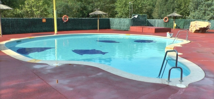 zobacz camping - zdjęcie 14