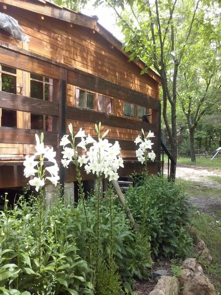 zobacz camping - zdjęcie 23