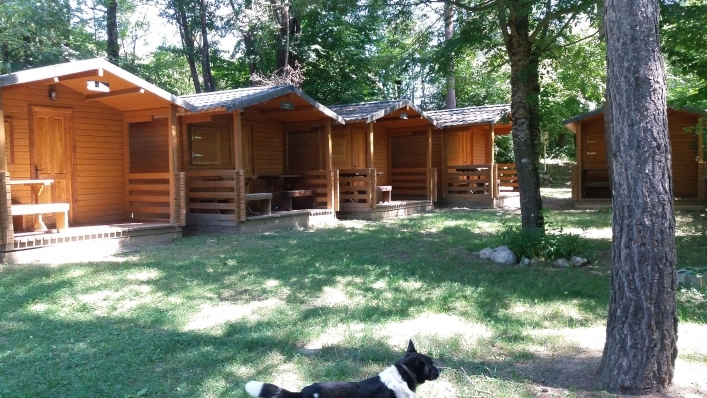 zobacz camping - zdjęcie 22