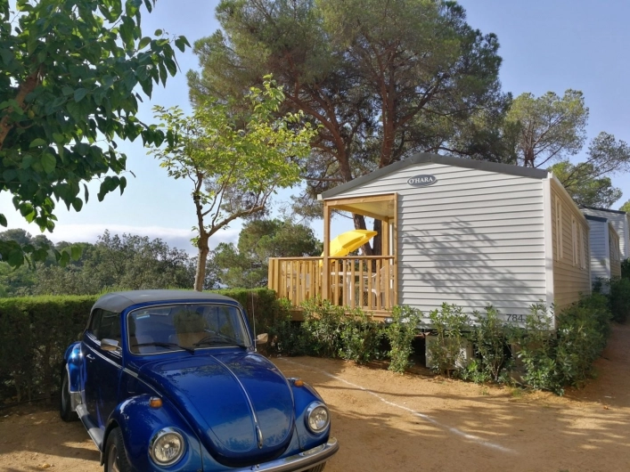 zobacz camping - zdjęcie 17