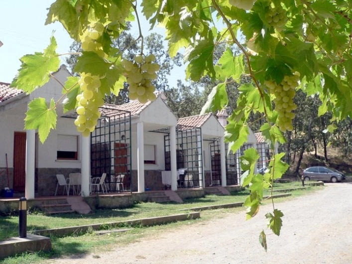 zobacz camping - zdjęcie 30