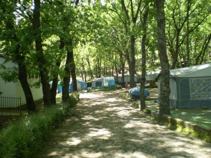 zobacz camping - zdjęcie 22