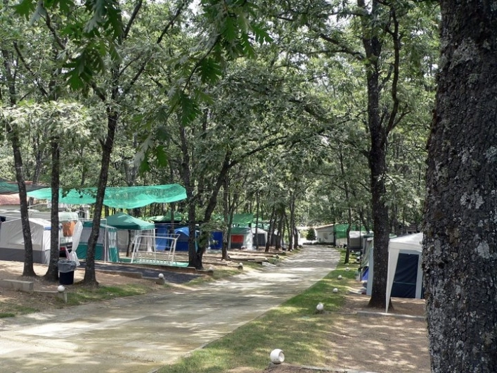 zobacz camping - zdjęcie 8