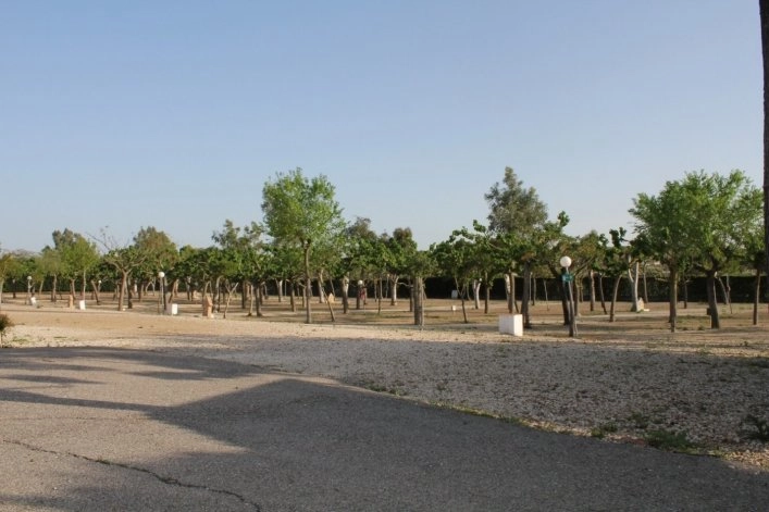 zobacz camping - zdjęcie 10