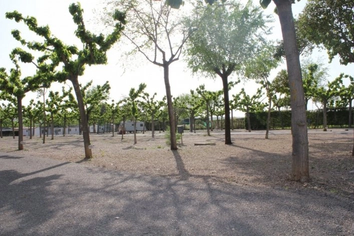 zobacz camping - zdjęcie 9