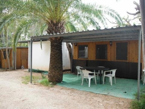 zobacz camping - zdjęcie 14