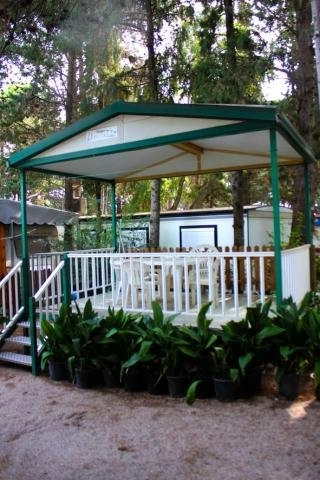 zobacz camping - zdjęcie 7