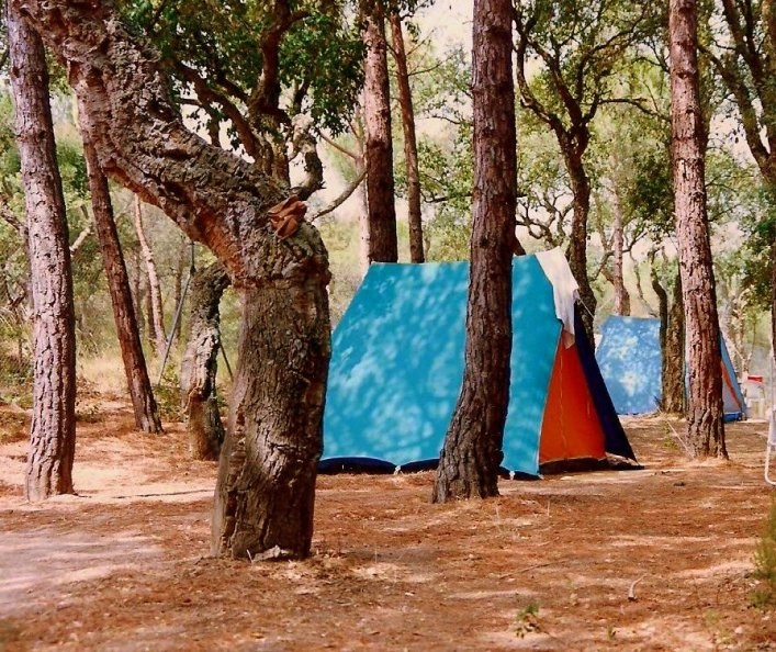 zobacz camping - zdjęcie 12