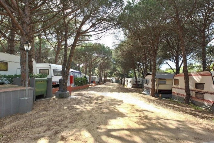 zobacz camping - zdjęcie 7