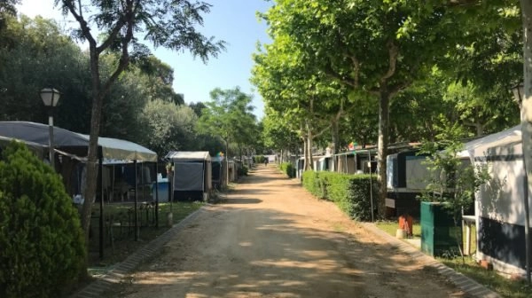 zobacz camping - zdjęcie 5