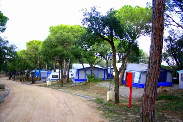 Camping Castell D'aro - zdjęcie 1