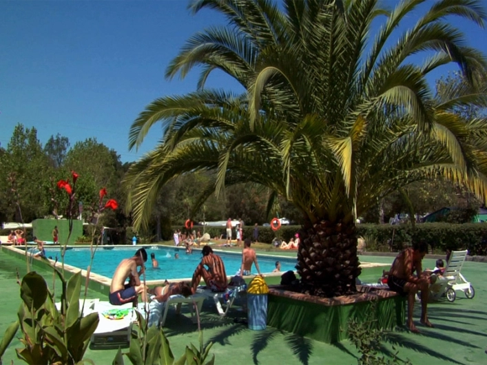 Camping Castell Park - zdjęcie 1