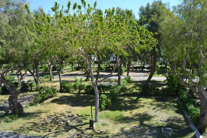 zobacz camping - zdjęcie 3