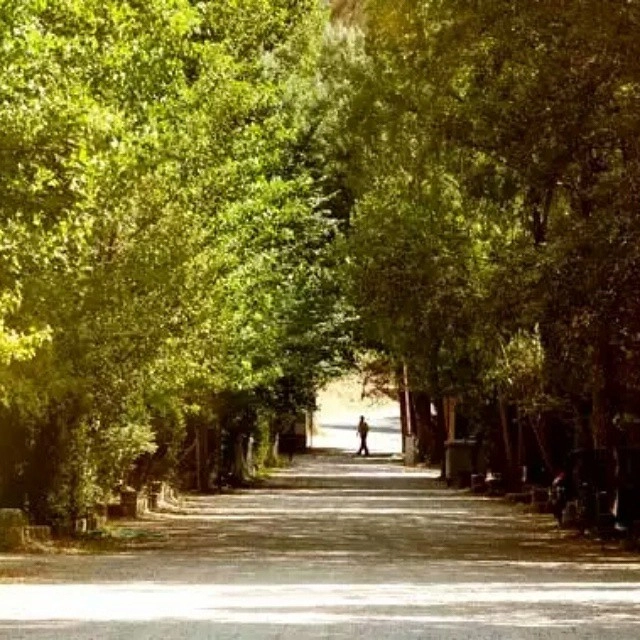 zobacz camping - zdjęcie 8