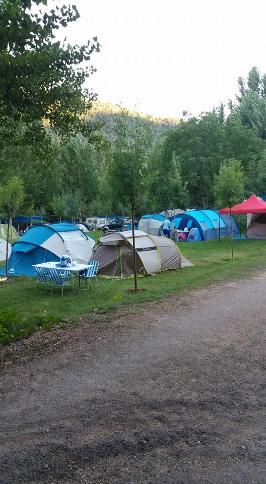 zobacz camping - zdjęcie 3