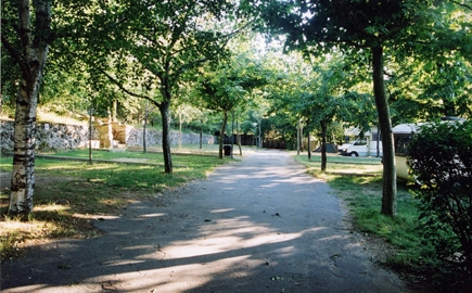 zobacz camping - zdjęcie 10