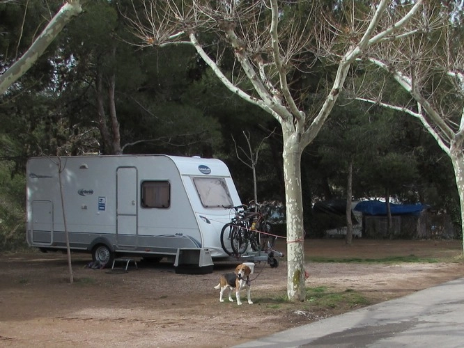 zobacz camping - zdjęcie 12