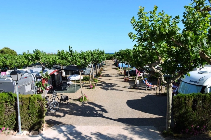 zobacz camping - zdjęcie 11