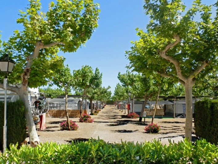 Camping Clarà - zdjęcie 1