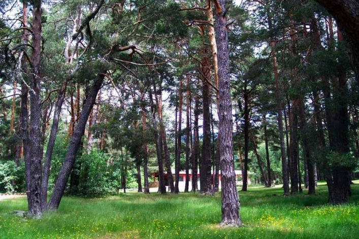 zobacz camping - zdjęcie 6