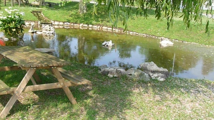 zobacz camping - zdjęcie 8