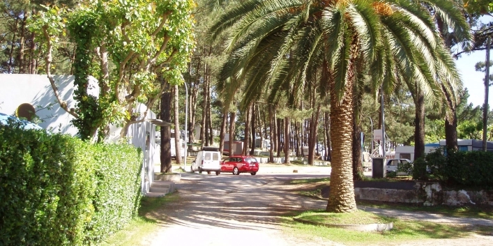 zobacz camping - zdjęcie 1