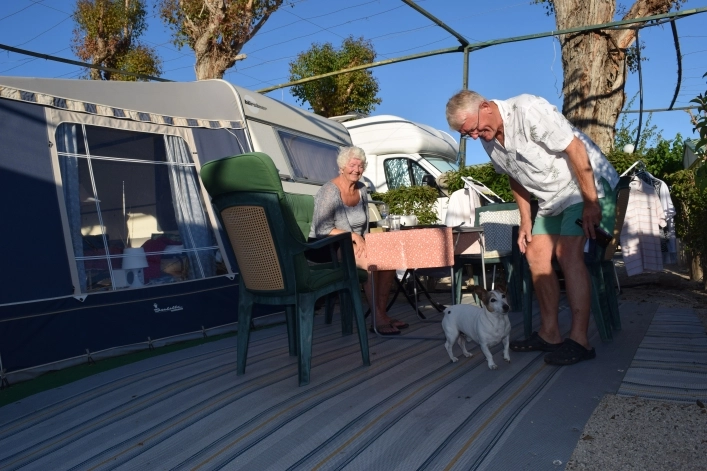 zobacz camping - zdjęcie 4