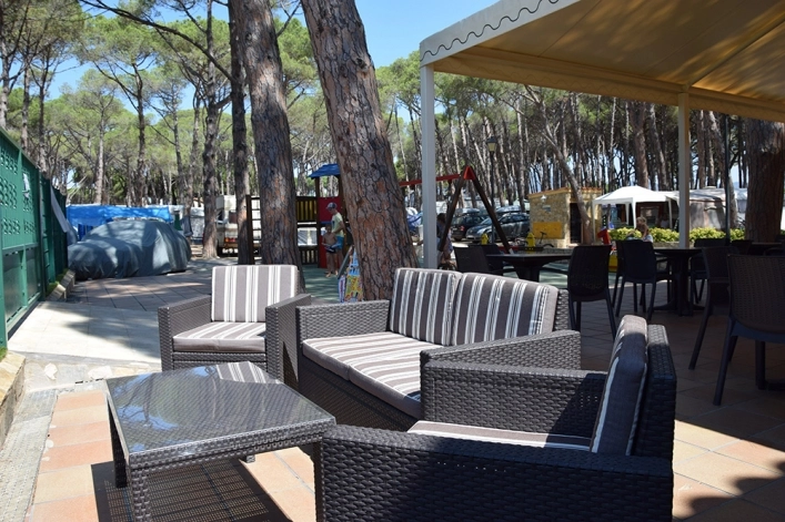 zobacz camping - zdjęcie 25