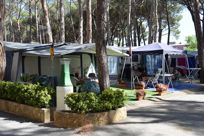 zobacz camping - zdjęcie 8