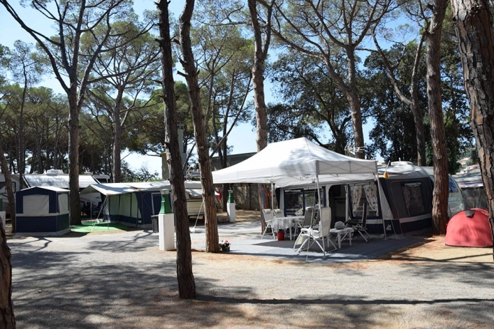 zobacz camping - zdjęcie 4