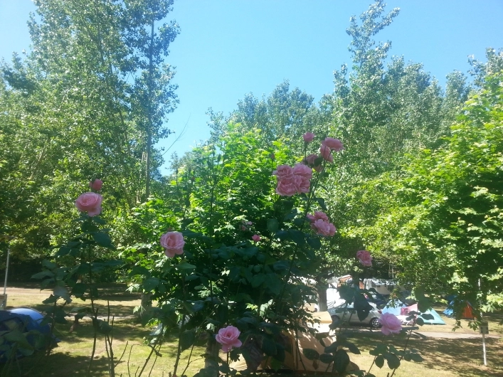 zobacz camping - zdjęcie 5