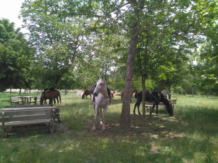 Camping Covarrubias - zdjęcie 2