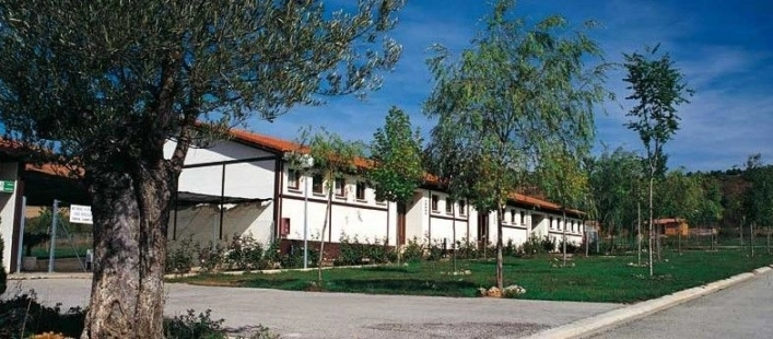 zobacz camping - zdjęcie 1