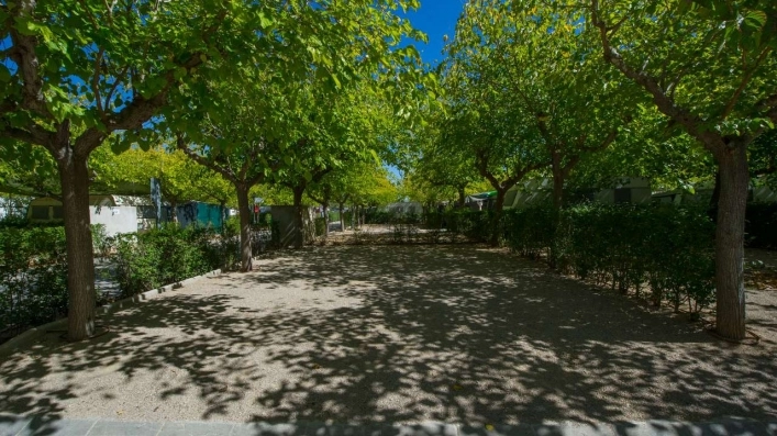 zobacz camping - zdjęcie 8