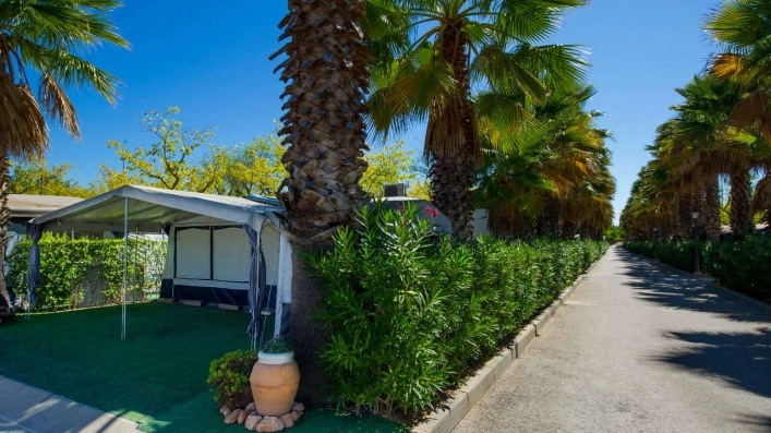 zobacz camping - zdjęcie 6