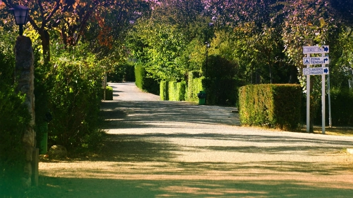 zobacz camping - zdjęcie 6