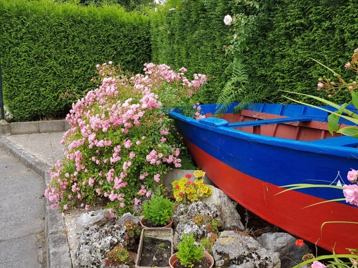 zobacz camping - zdjęcie 9