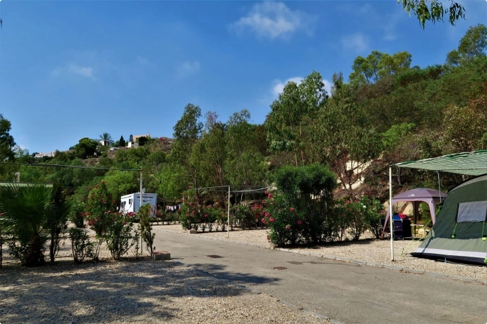 zobacz camping - zdjęcie 24