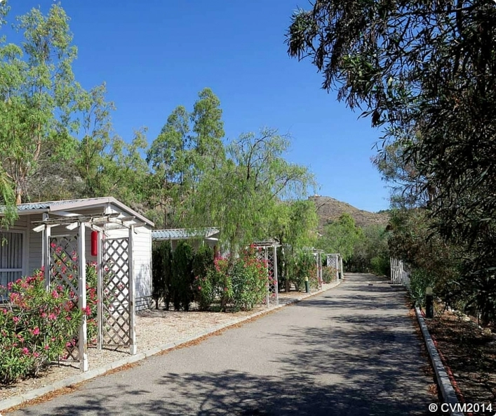 zobacz camping - zdjęcie 20