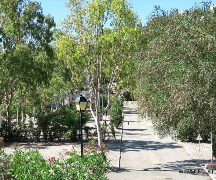 zobacz camping - zdjęcie 6