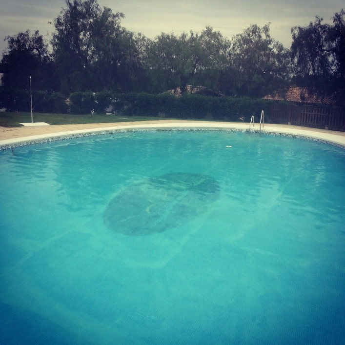 zobacz camping - zdjęcie 6