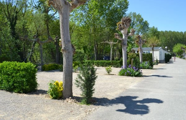 zobacz camping - zdjęcie 7